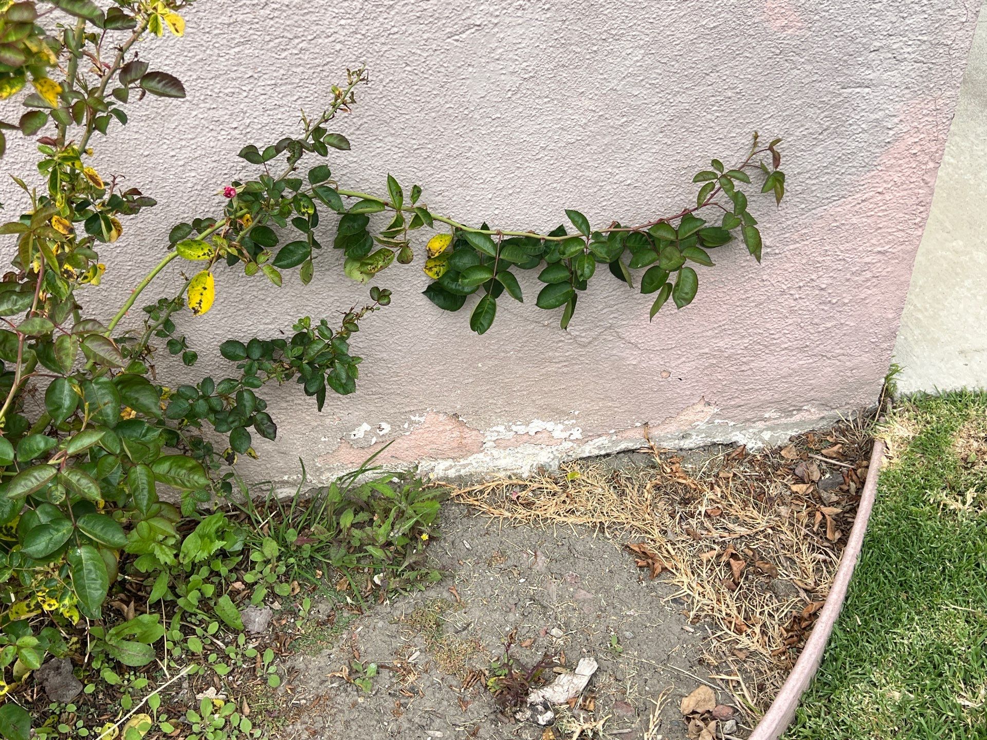 Huntington Beach Complete Exterior Painting by Beach City Painting
