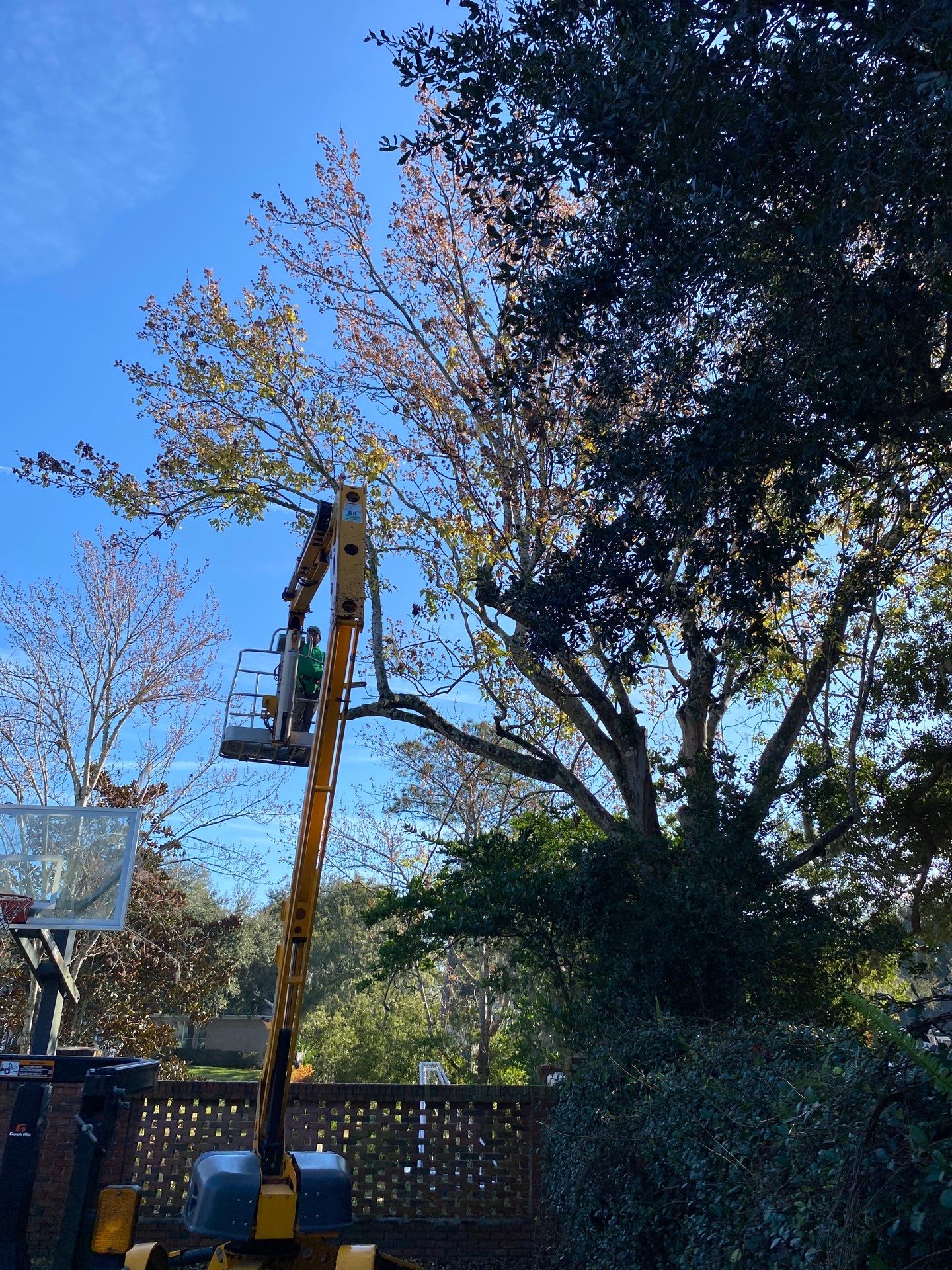 Deerwood Resident | General Landscaping by ProGreen Services