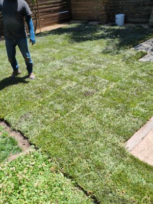 Project in Mill Valley