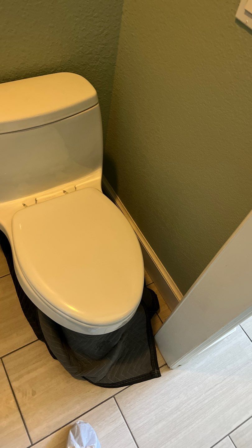 Mold Remediation by Accountable Home Services