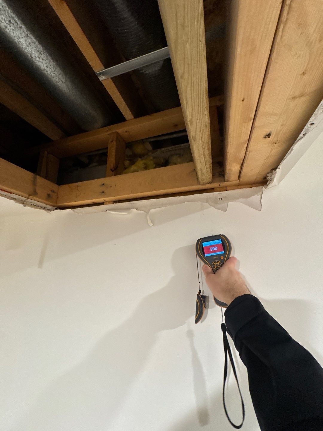 Project in Commerce Twp by EzDry Water Mitigation & Property Restoration