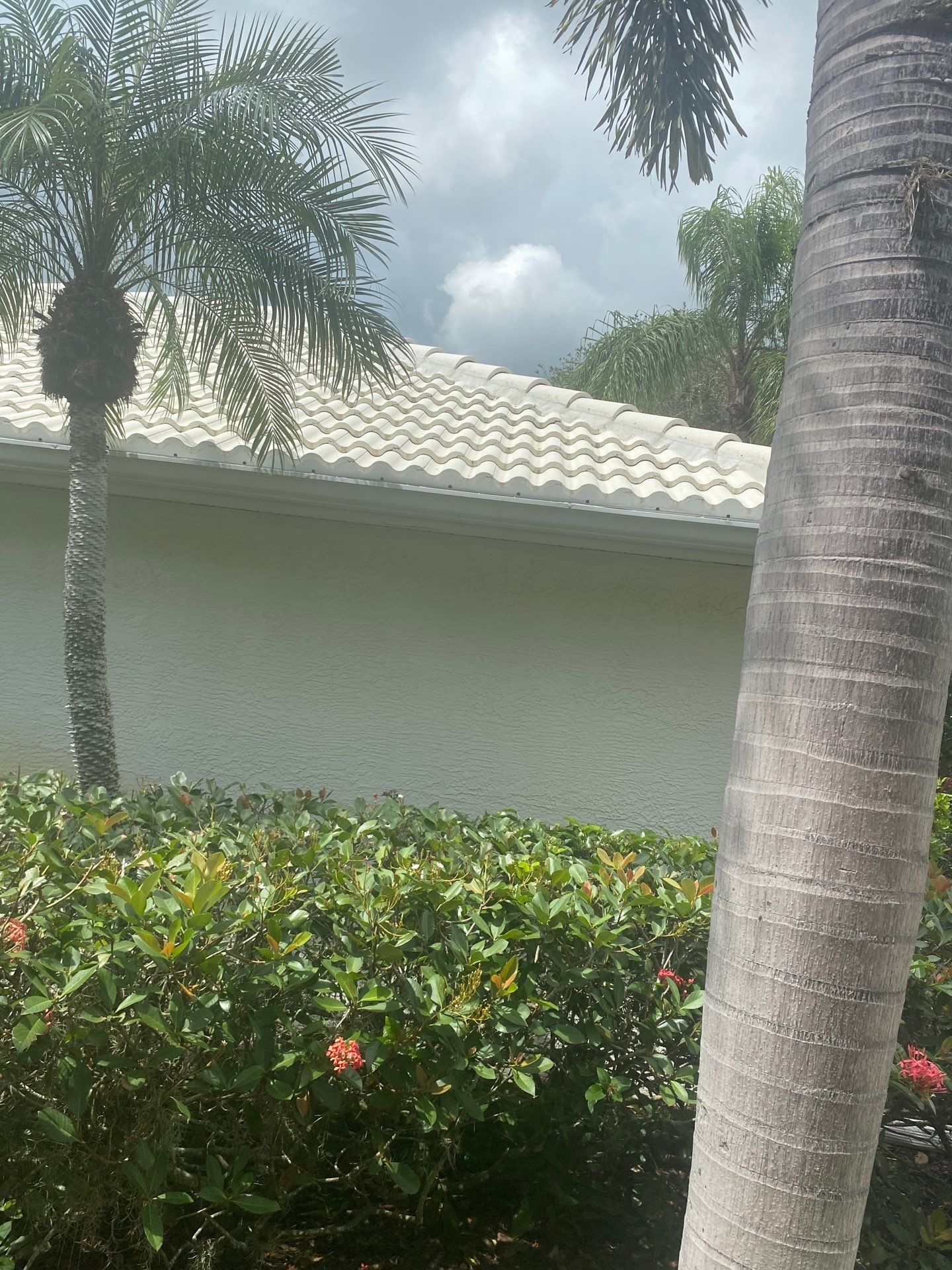 Leaf Guard using Gutter Guards for Florida Home by Gutter Professors