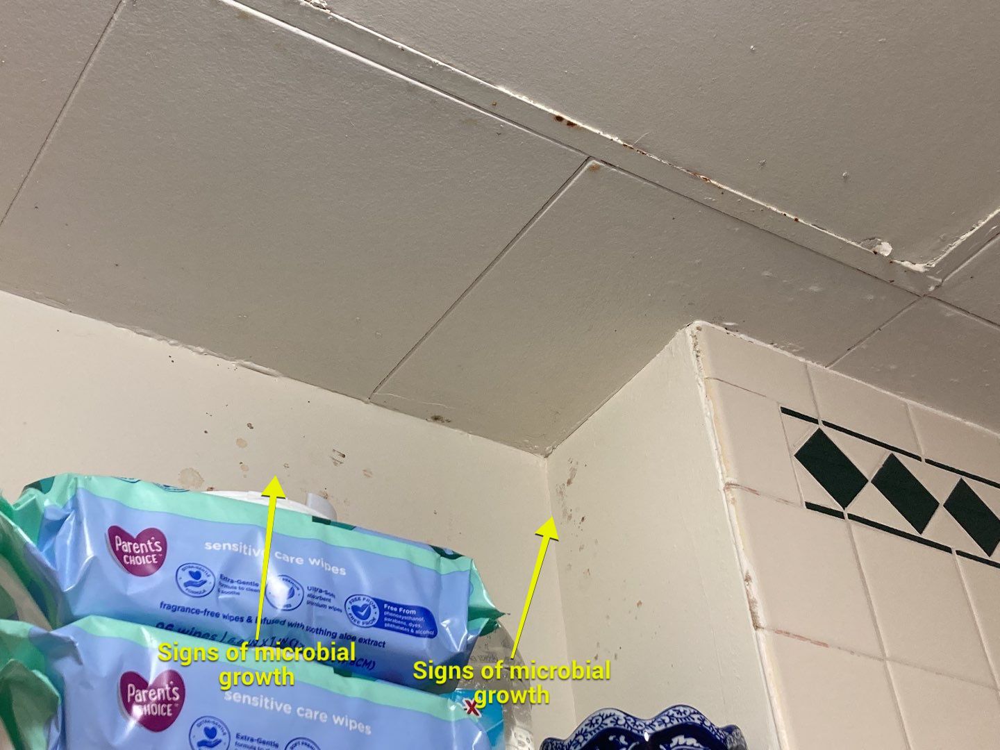 Water Damage in Bathroom by Accountable Home Services