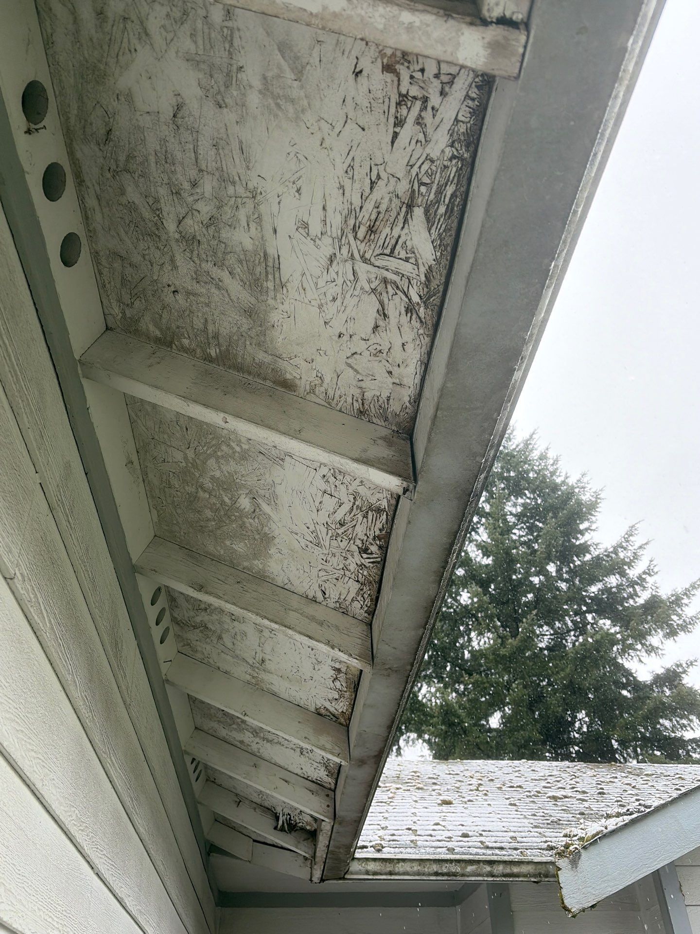 Roof in Lake Stevens by Connolly Construction Company