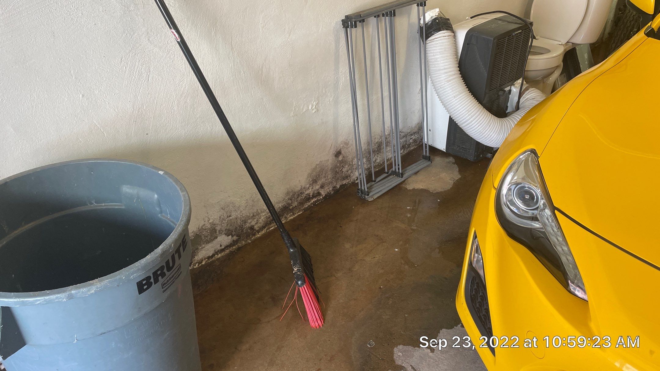 Interior French Drain Job in Bayonne, NJ by Pure Service Pro, LLC 