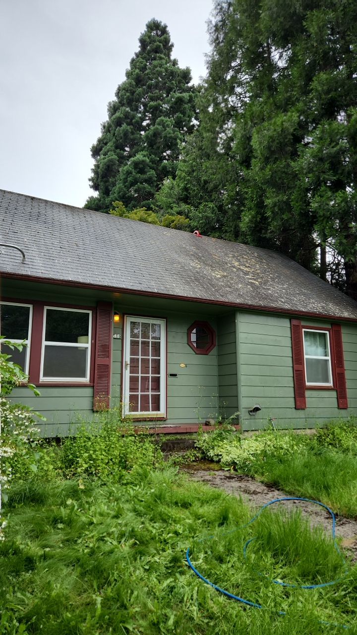 Moss Treatment using Biocide by Willamette Outdoor Wash LLC