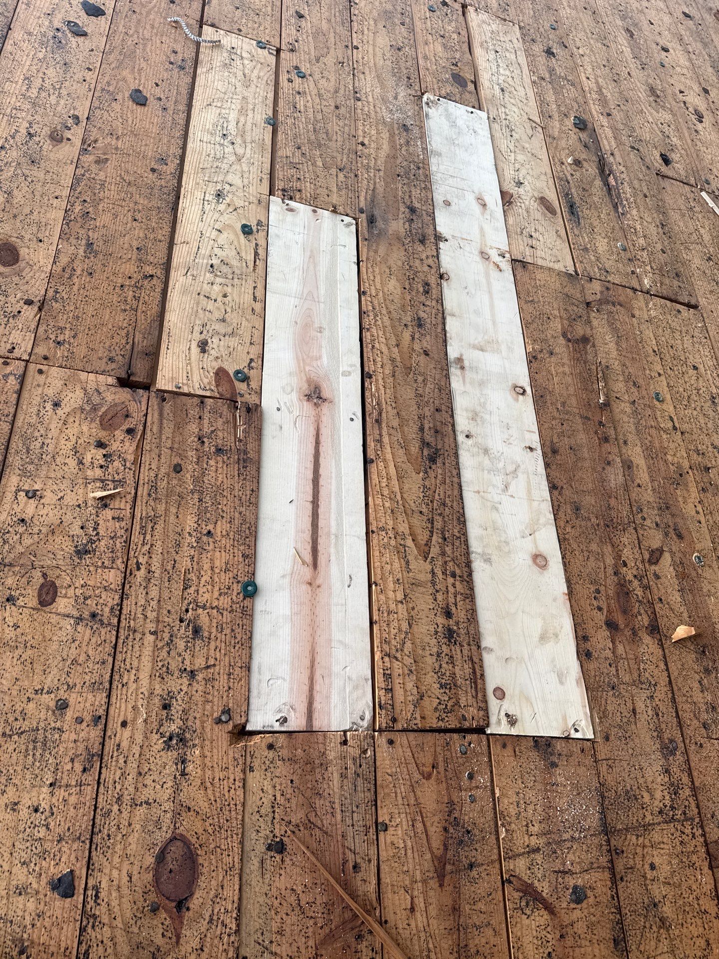 Roof Replacement Pasadena by Roof Repair Services LLC