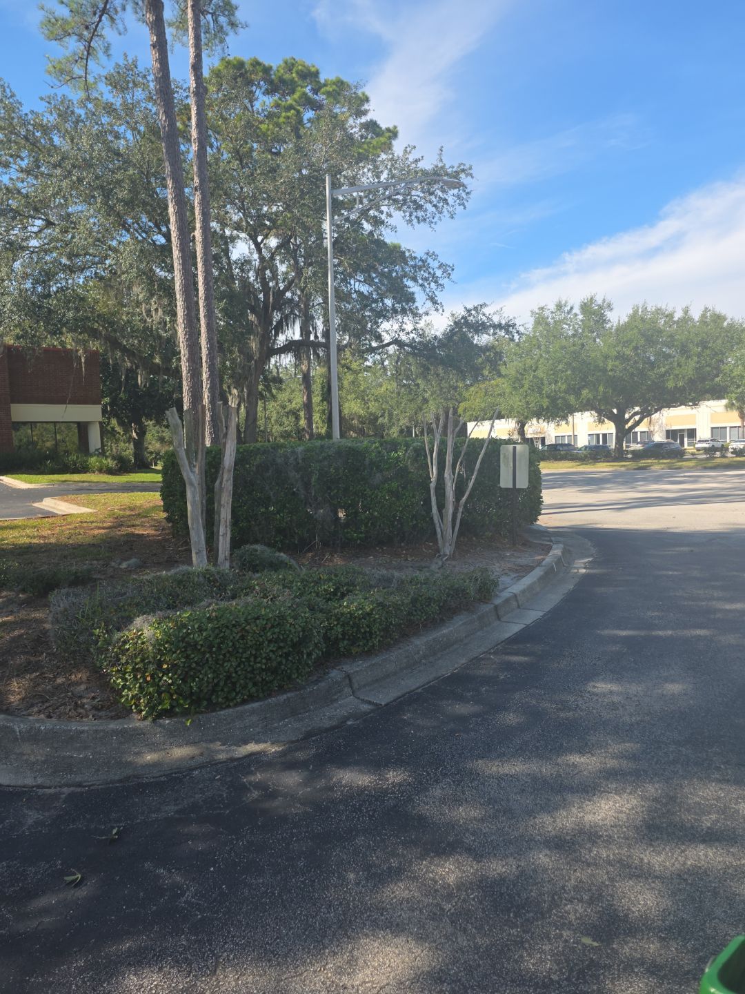 Tree & Palm Trimming | Commercial Property by ProGreen Services