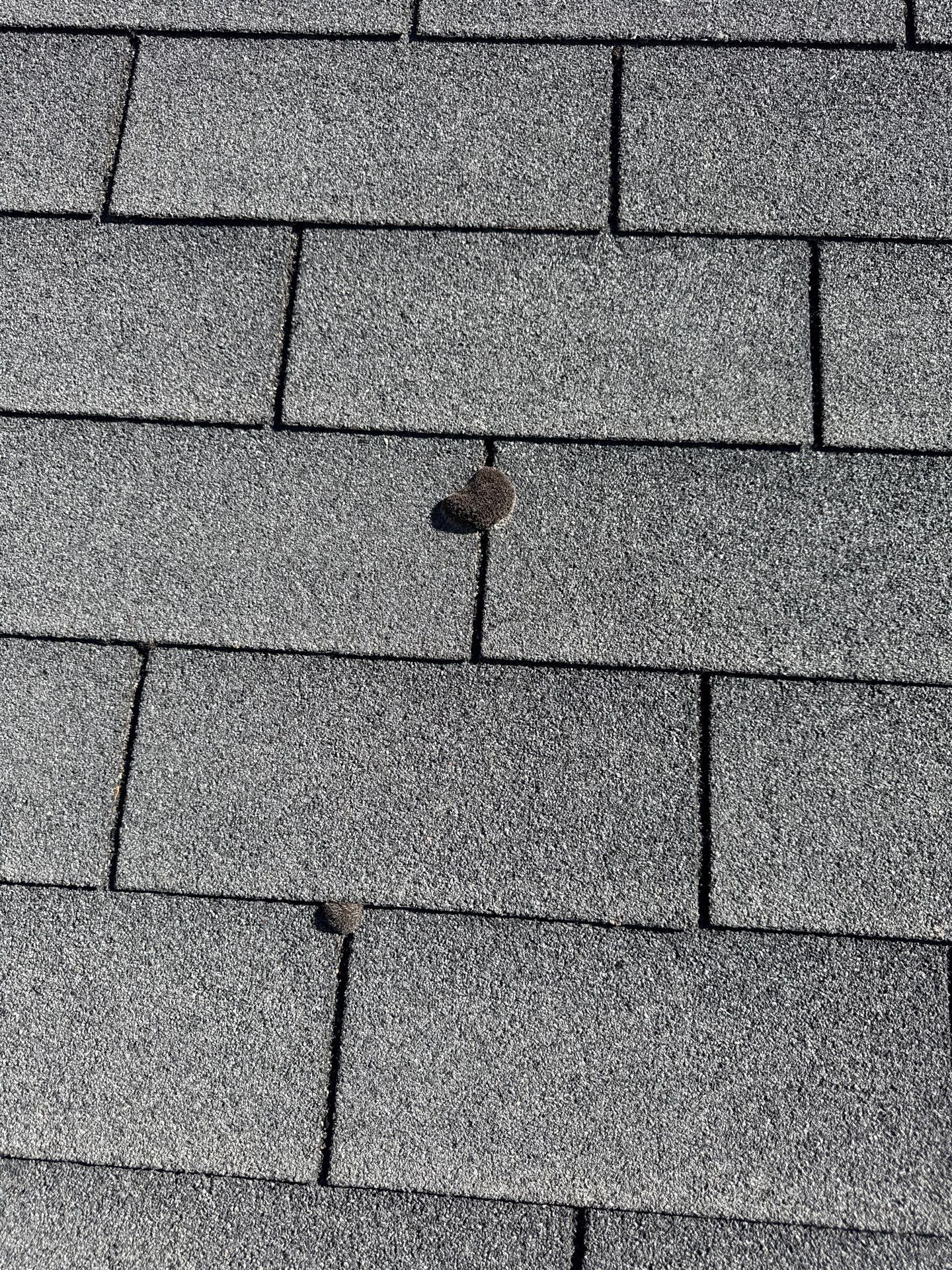Residential Roof Replacement and Decking Repair in Boise, Idaho by Olive Roofing