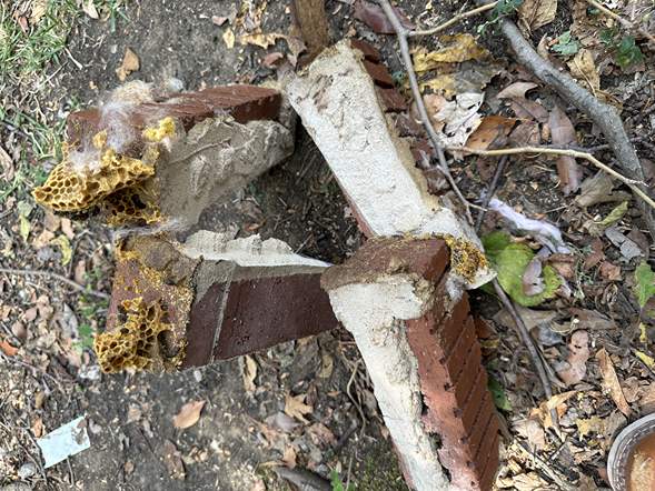 Between Floors by Rockwall Honey Bee Company