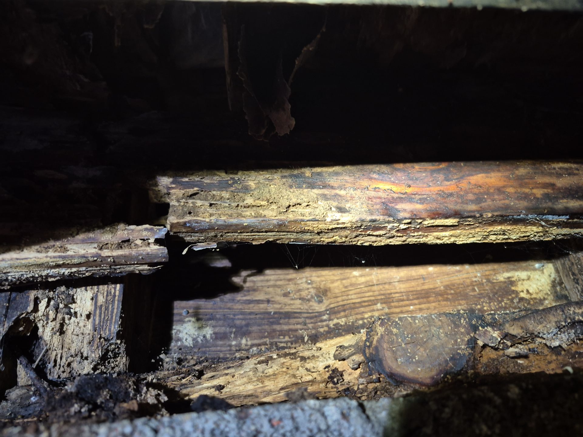 Project in Norfolk by Patriot Crawl Space Repairs