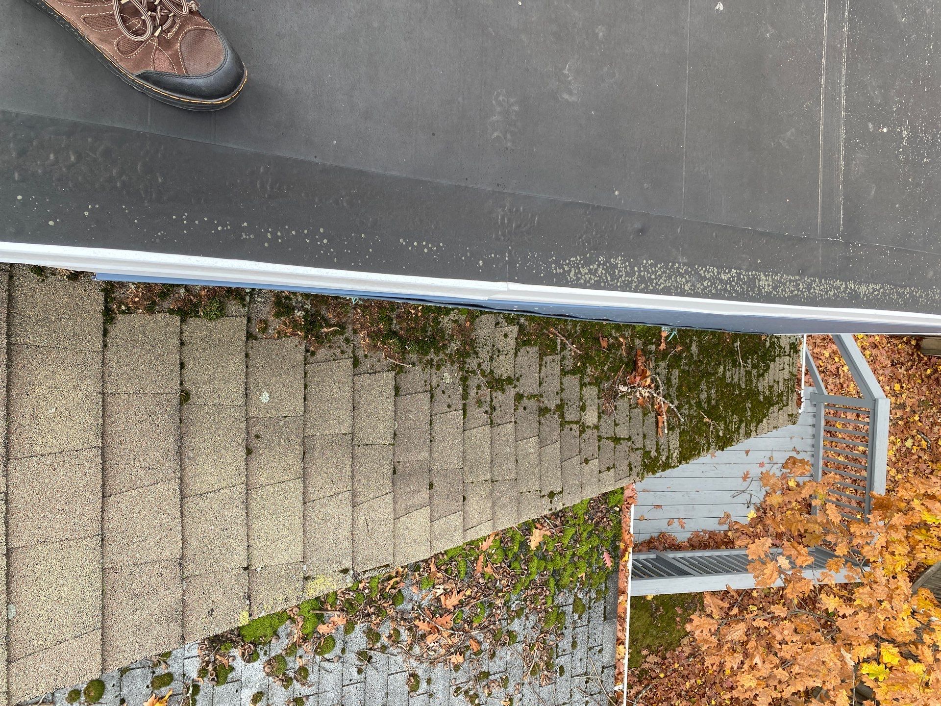 Roofing, Skylight & Chimney Project in Burlington by Mighty Dog Roofing of Greater Middlesex County