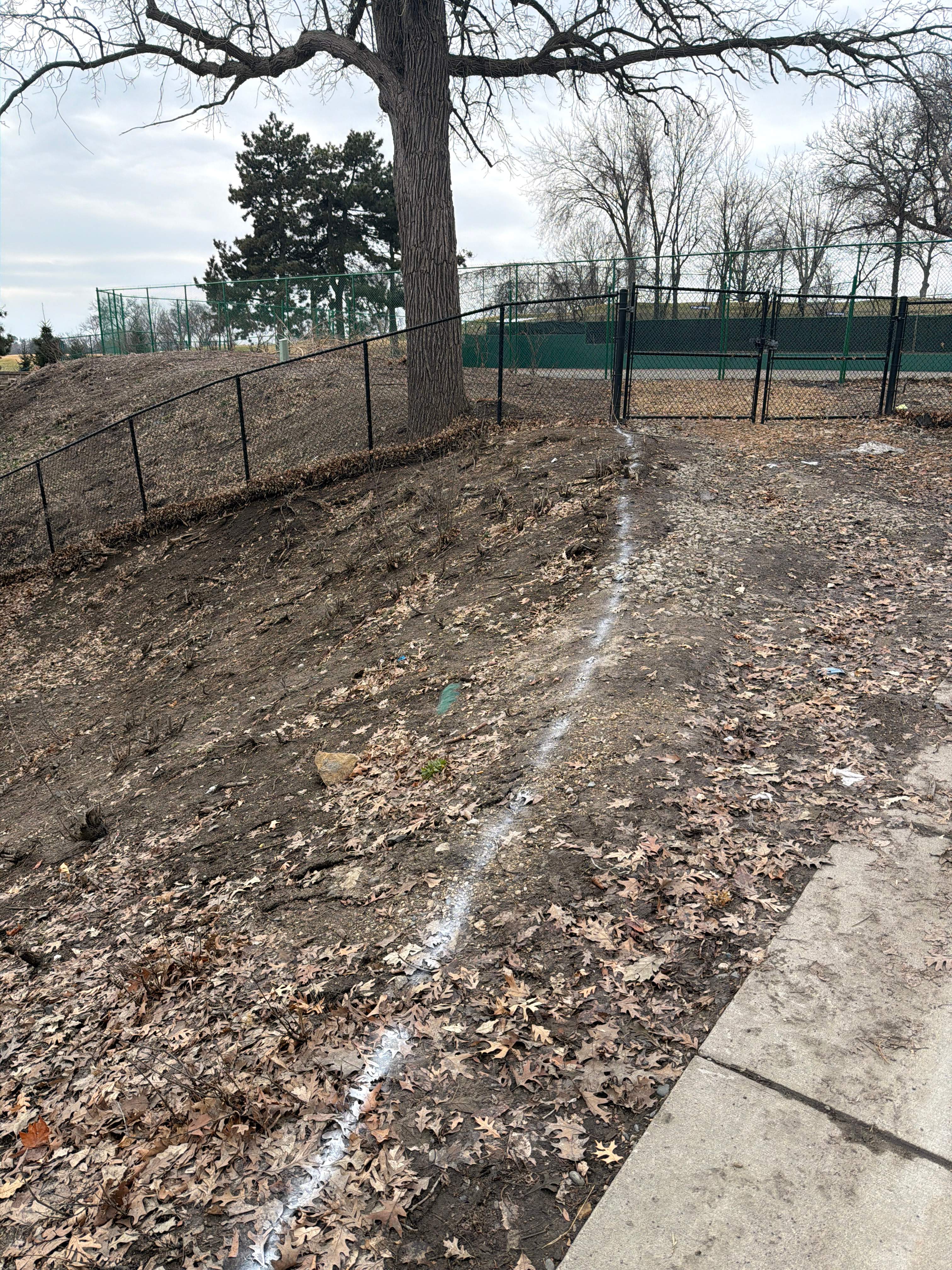 Stone Veneer Fence  by Sota landscaping