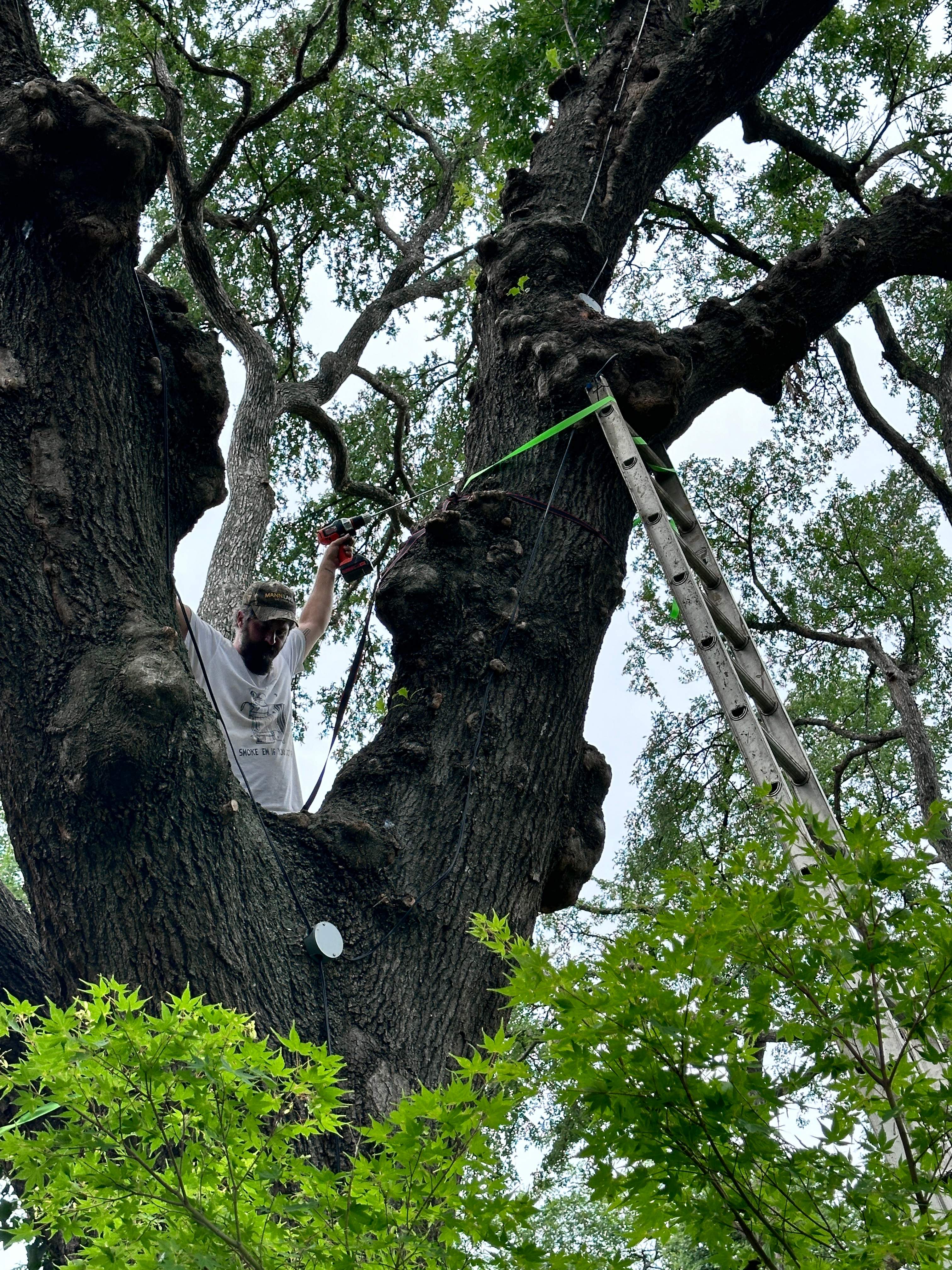 Smile! by Rockwall Honey Bee Company