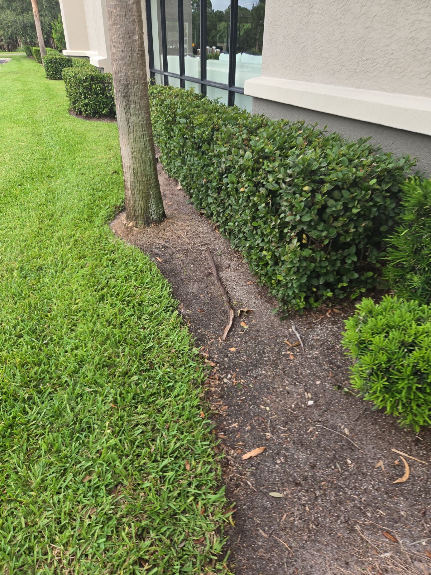 🛏️ City Mattress Refresh — Jensen Beach by Alpha Zeta Enterprises Inc