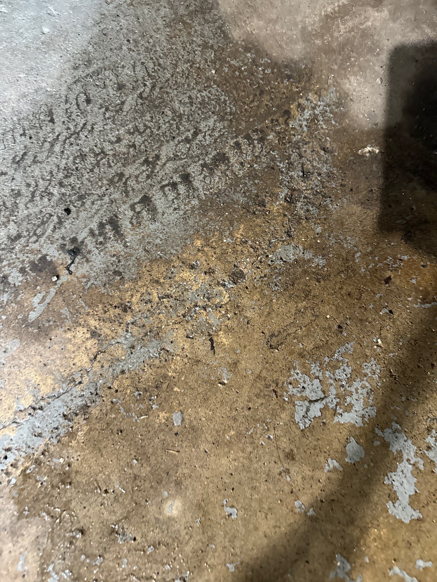 Pool Deck + Steps + Porch Project in JEANNETTE by Floors in a Day, Inc