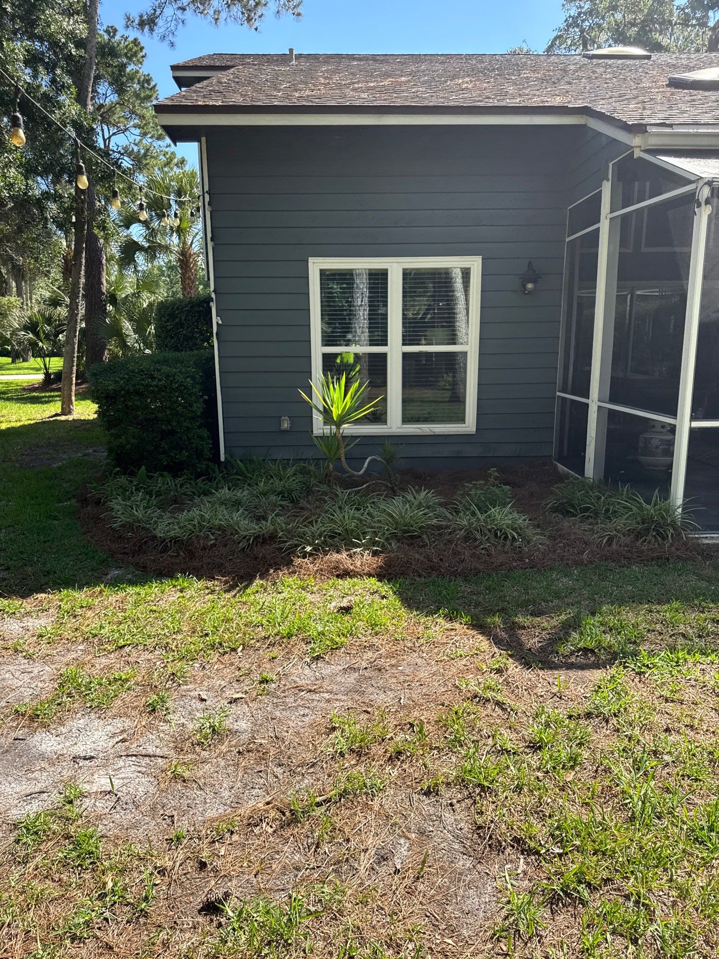 Residential | Pine Straw Install by ProGreen Services