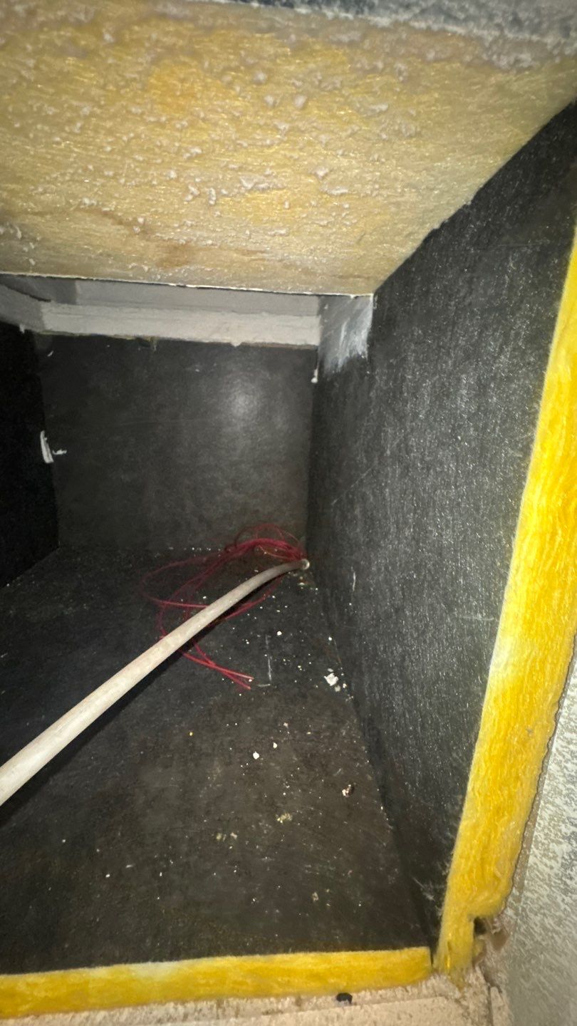 Air Duct and Dryer Vent Cleaning in Clermont by Hygienic Air, Inc