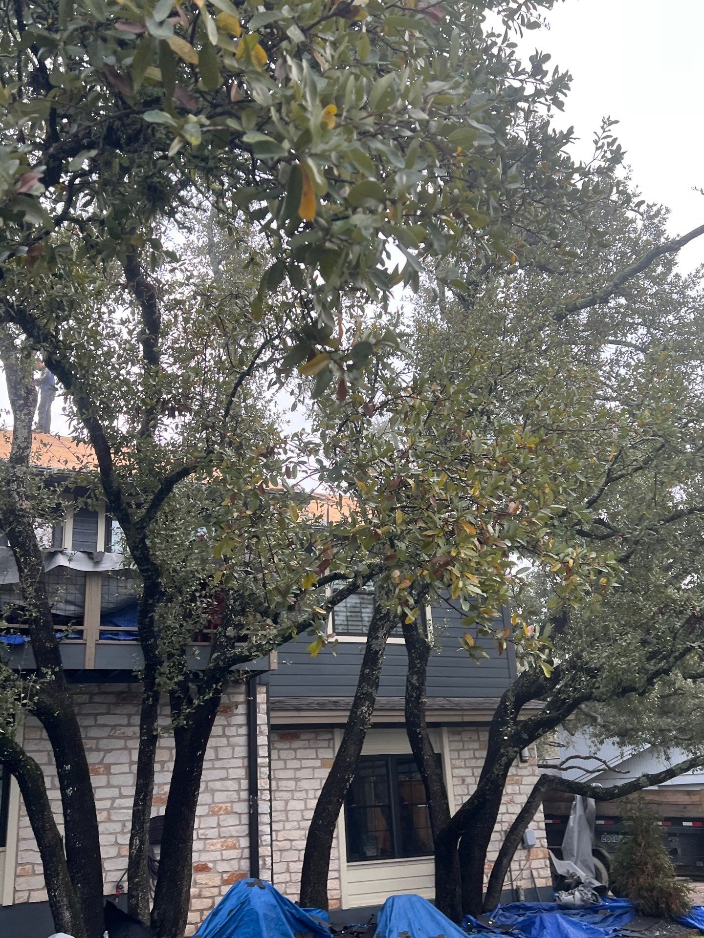 Project in Austin by Rhino Roofing and General Contracting, LLC