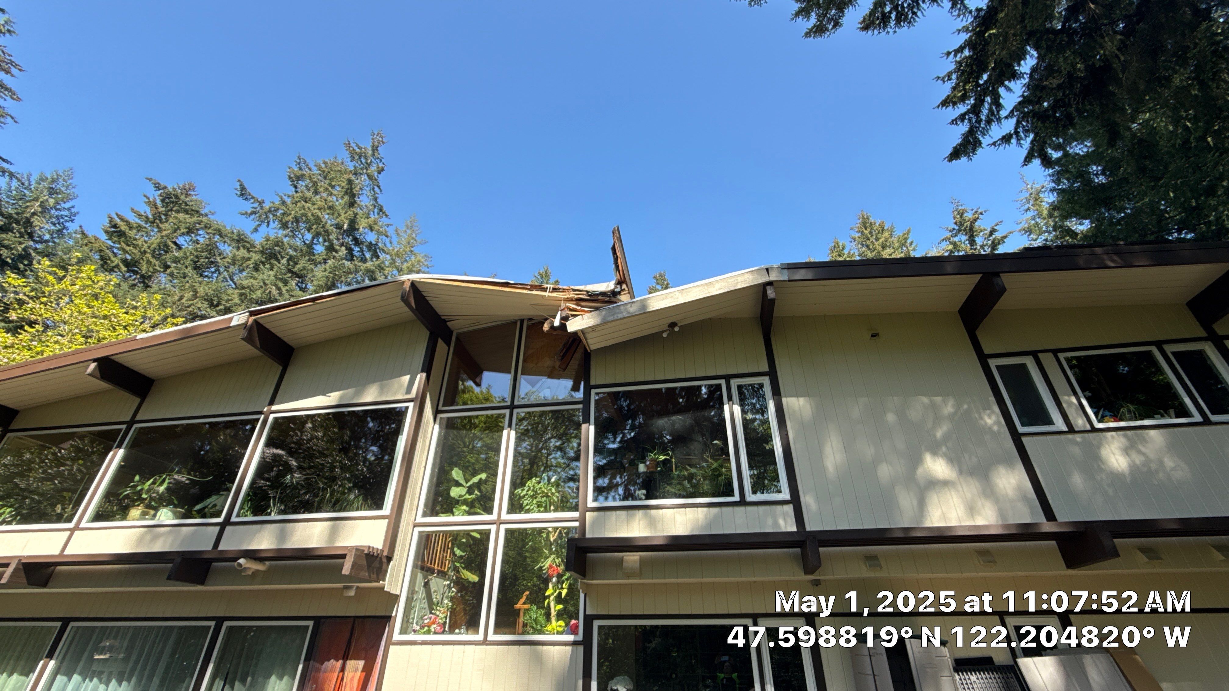 Bellevue Arborist Assessment using Level 1 Visual Assessment by Sound Tree Care LLC
