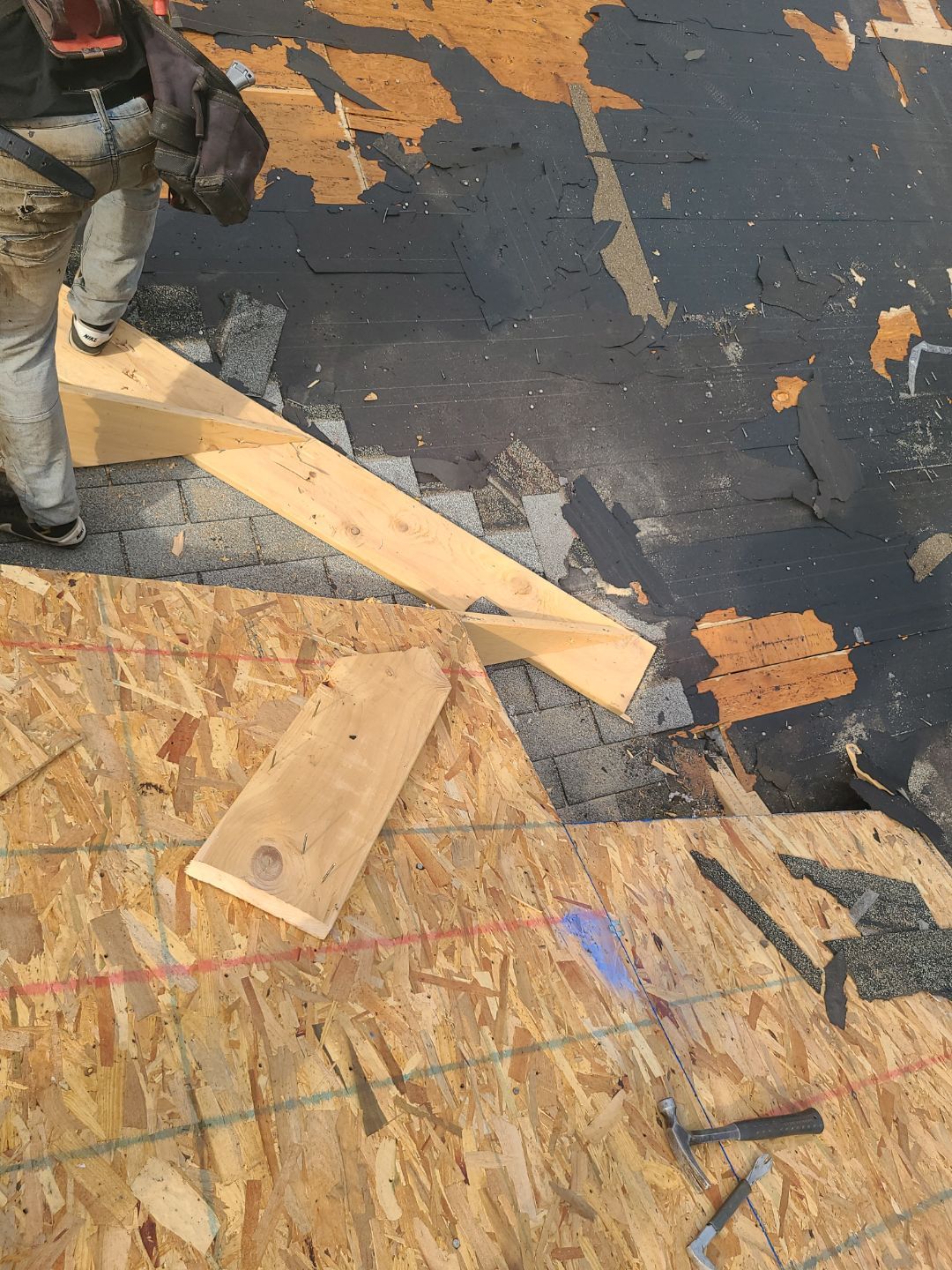 Arlington CertainTeed Landmark Pro Roof in Max Def Moire Black by RM Banning, Inc.