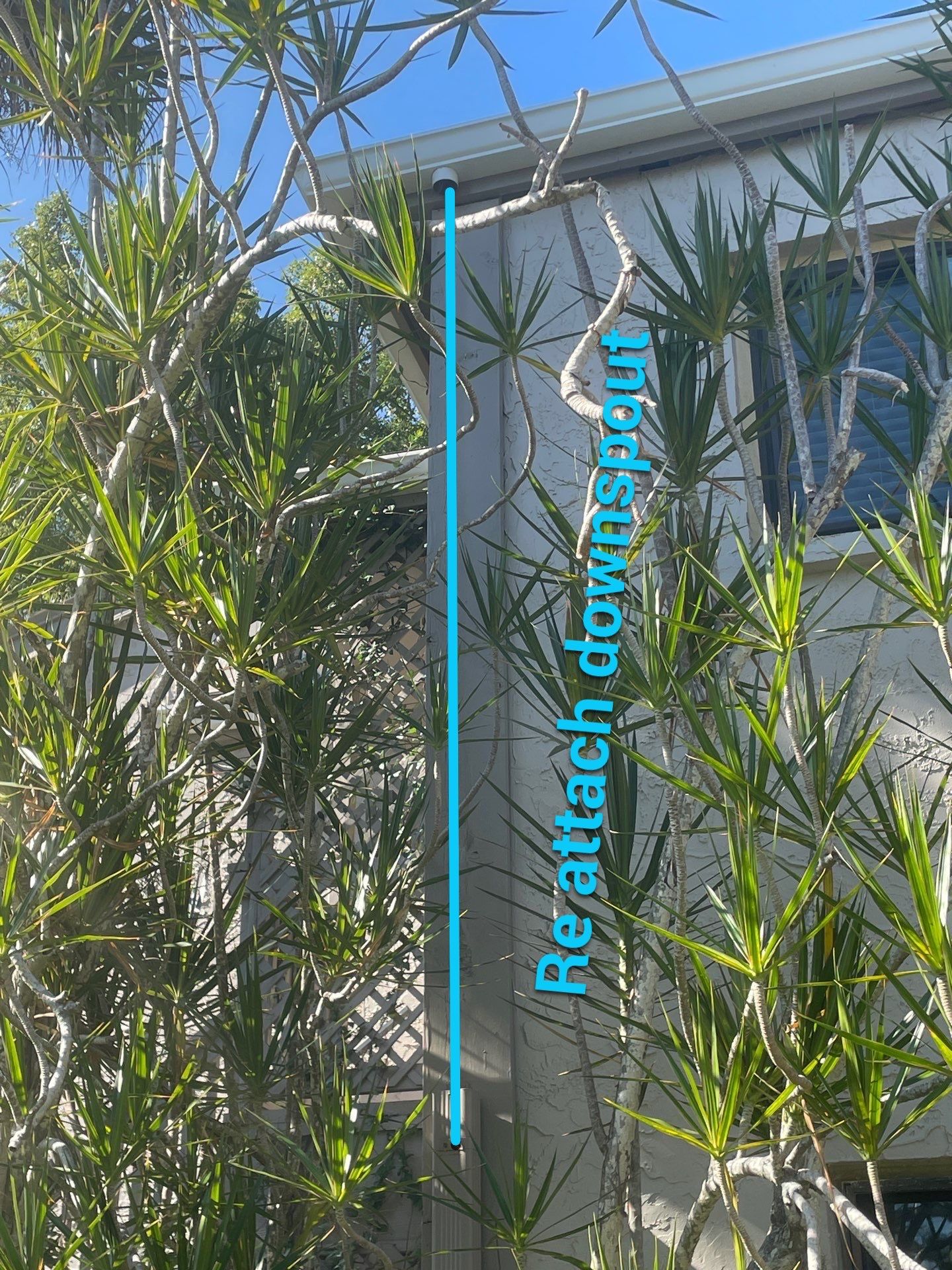 White Gutters Repair and Installation in Sarasota FL by Gutter Professors