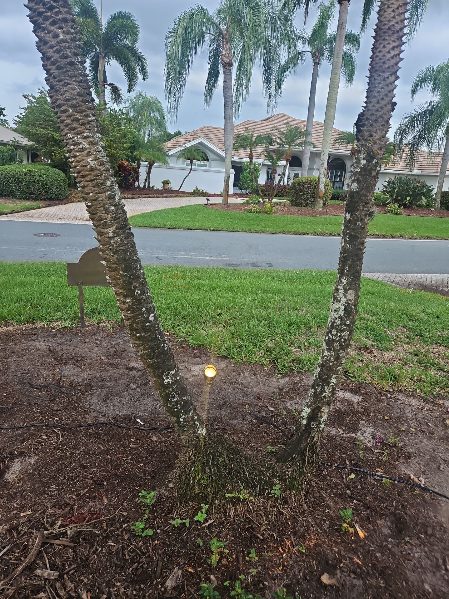 Palm City Revival at Pipers Landing by Alpha Zeta Enterprises Inc