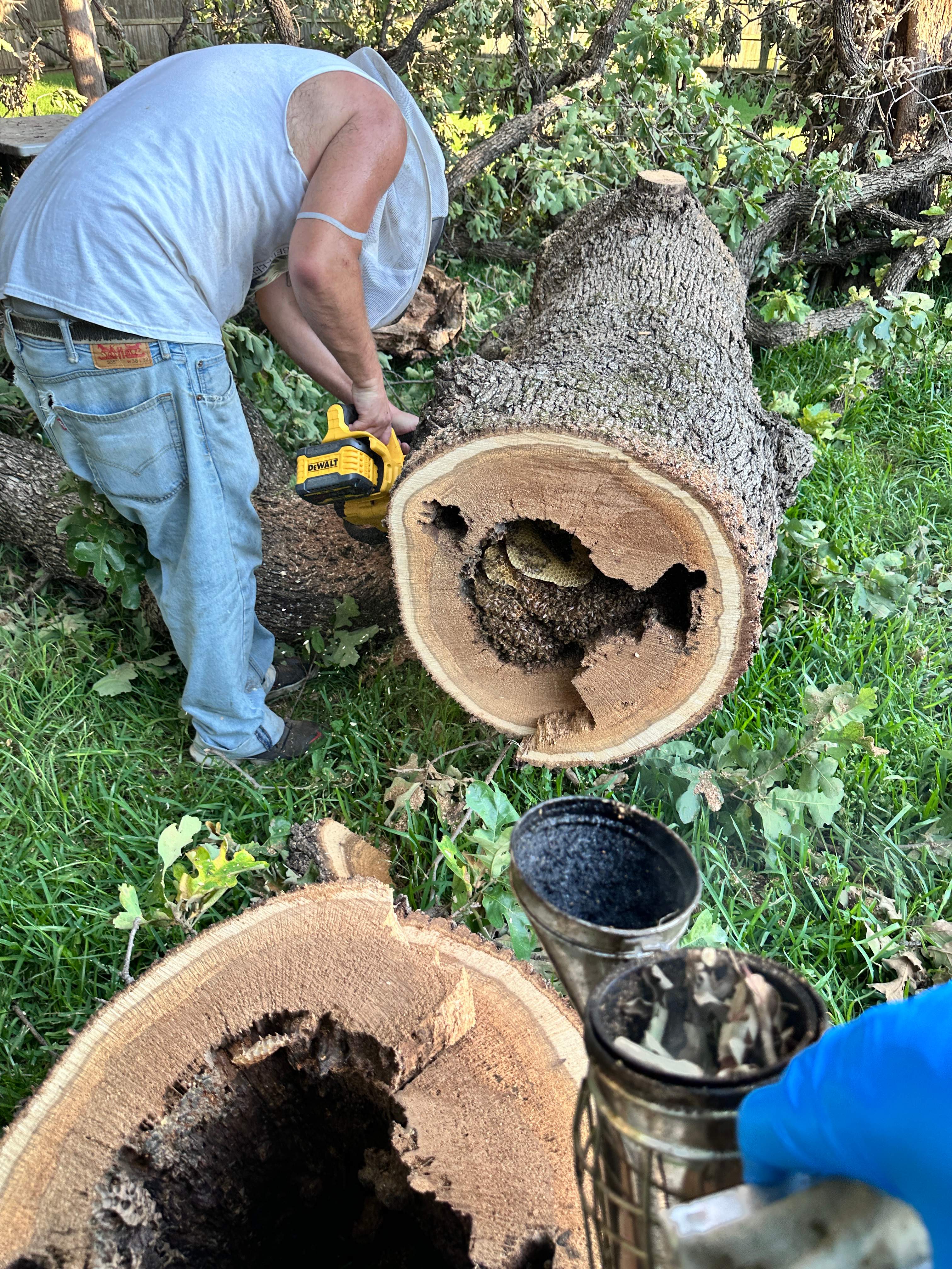 Wina-tree-go by Rockwall Honey Bee Company