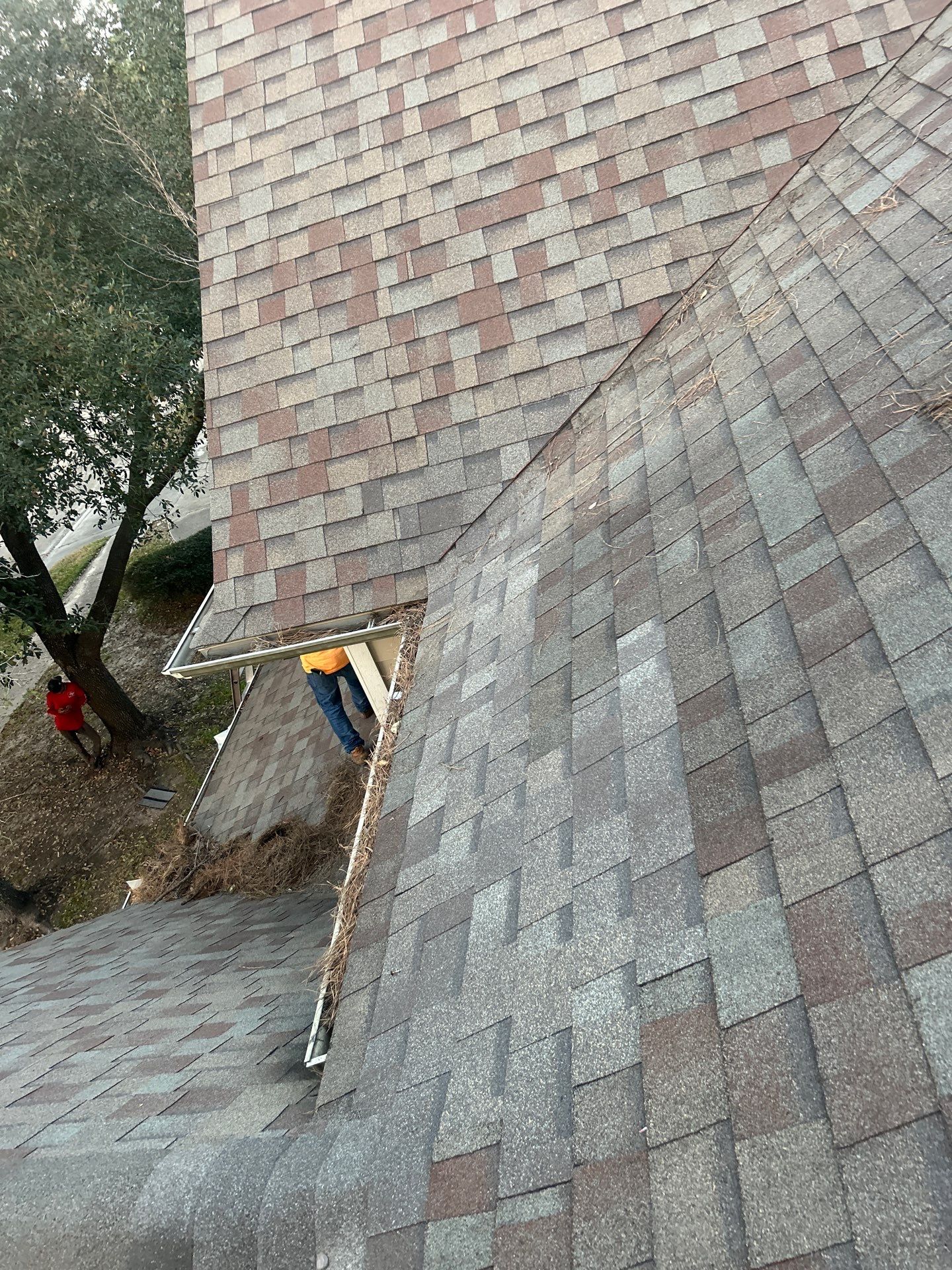 Roof Repair Spring by Roof Repair Company