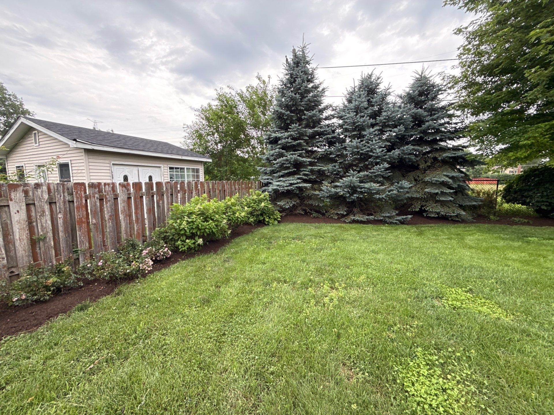 Rob M. - Arlington Heights, IL by A&N 