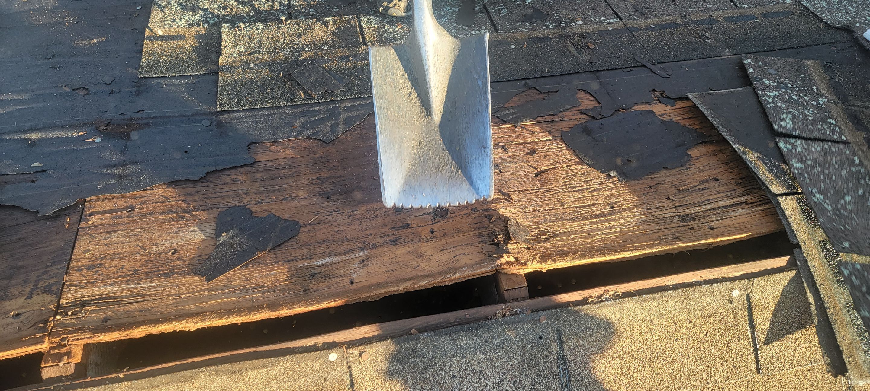 Roof Installation using Tamko Hp Titan XT by ExteriorPros