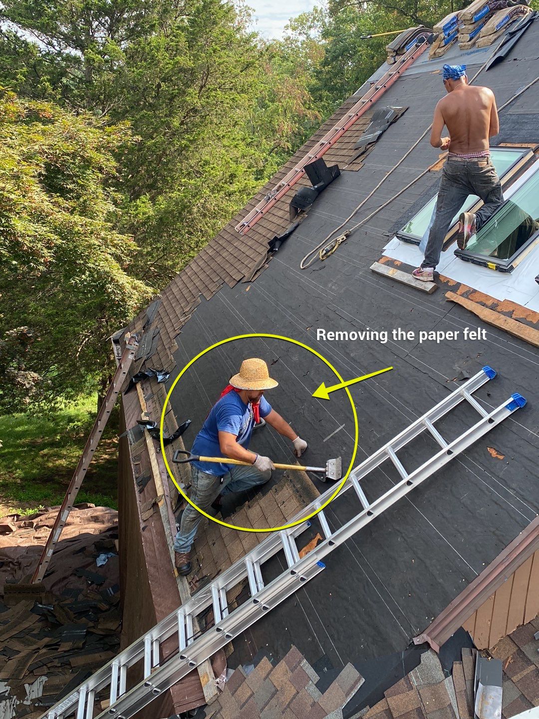 New Shingle Roof, New Skylights, New Windows, Repair T-1 11 panels by Alpha Design Services