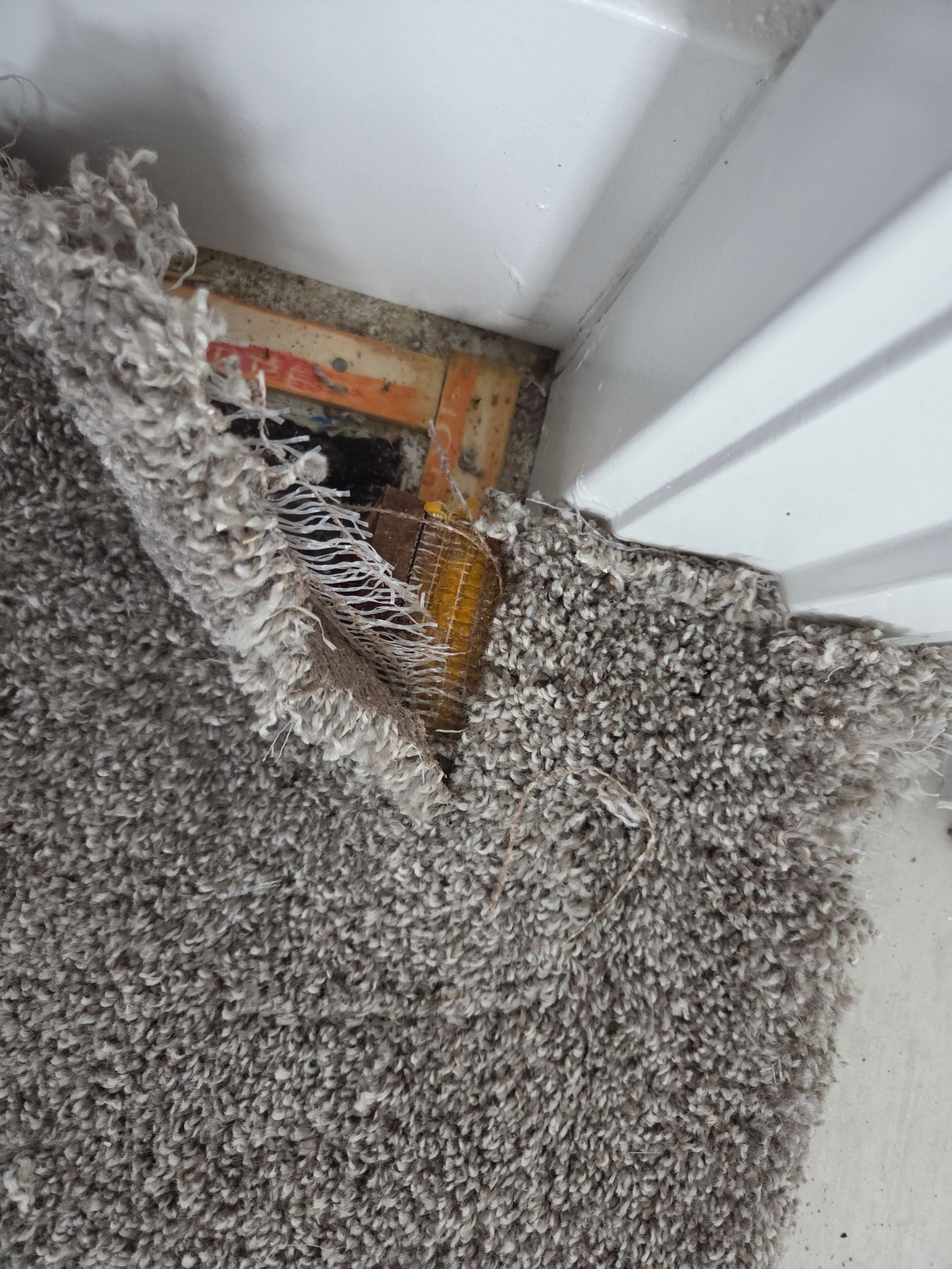 Repairing Frayed, Damaged Carpet by Ardent Carpet Restore LLC