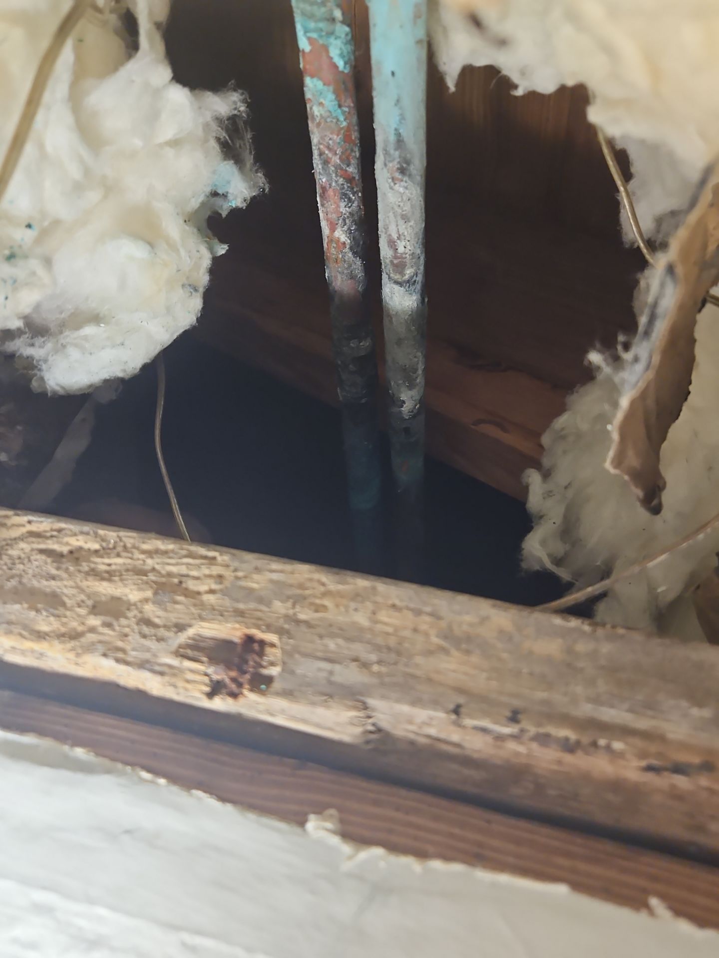 Leak Investigation & Repairs by JTX Pro Services LLC