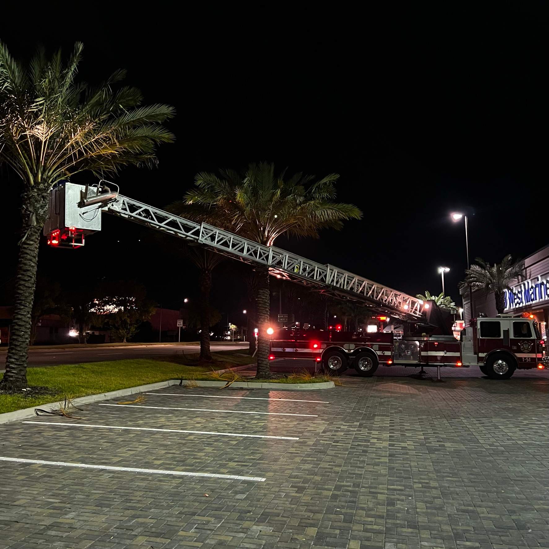 Tree Trimming | Roosevelt Square by ProGreen Services