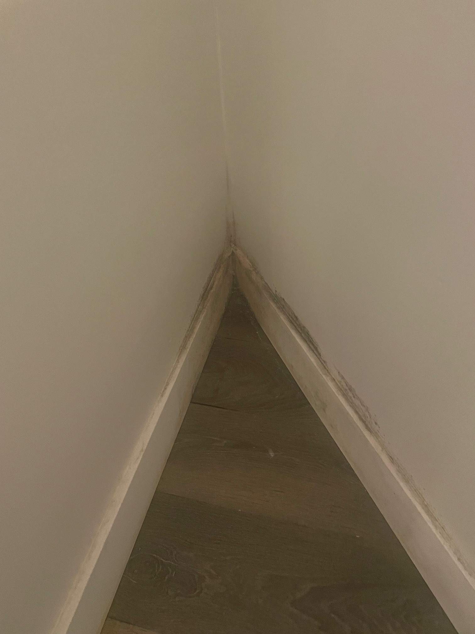 Mold Remediation & Flooring Restoration After Moisture Barrier Failure by YVR Construction Group
