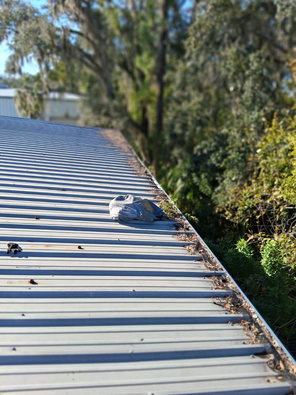 Clean Gutters and Seal Seams in Lakeland FL by Gutter Professors