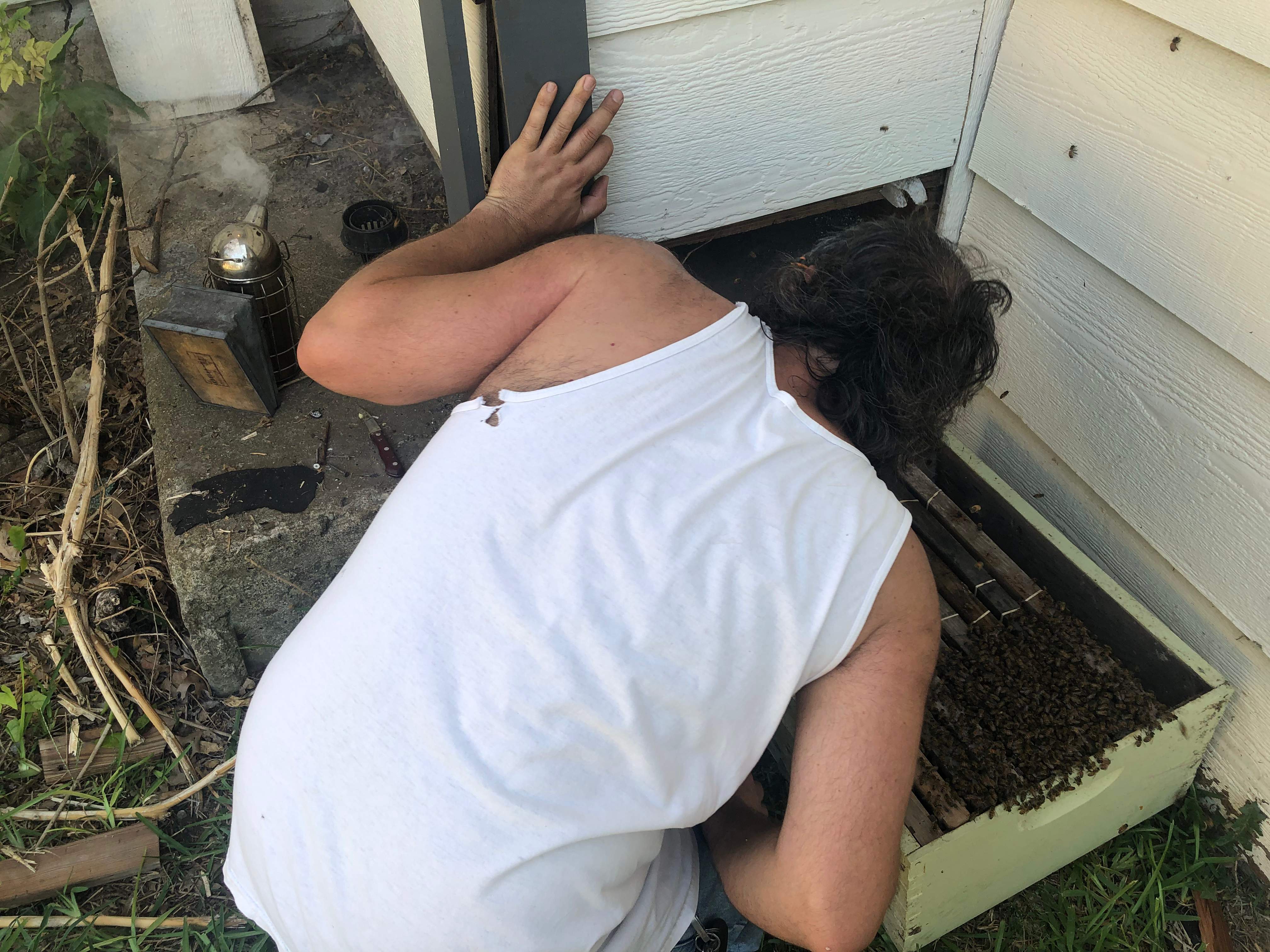 Bees Handled by Rockwall Honey Bee Company