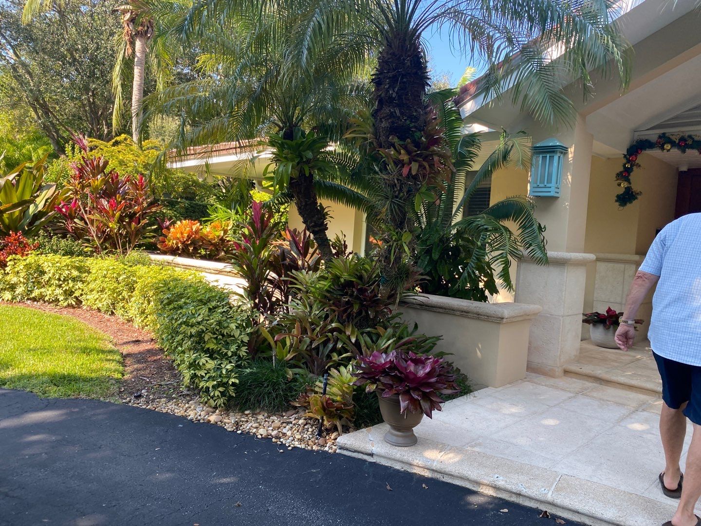 Tropical Residential Landscape in Pinecrest by Nature's Dream Landscape and Tree Service