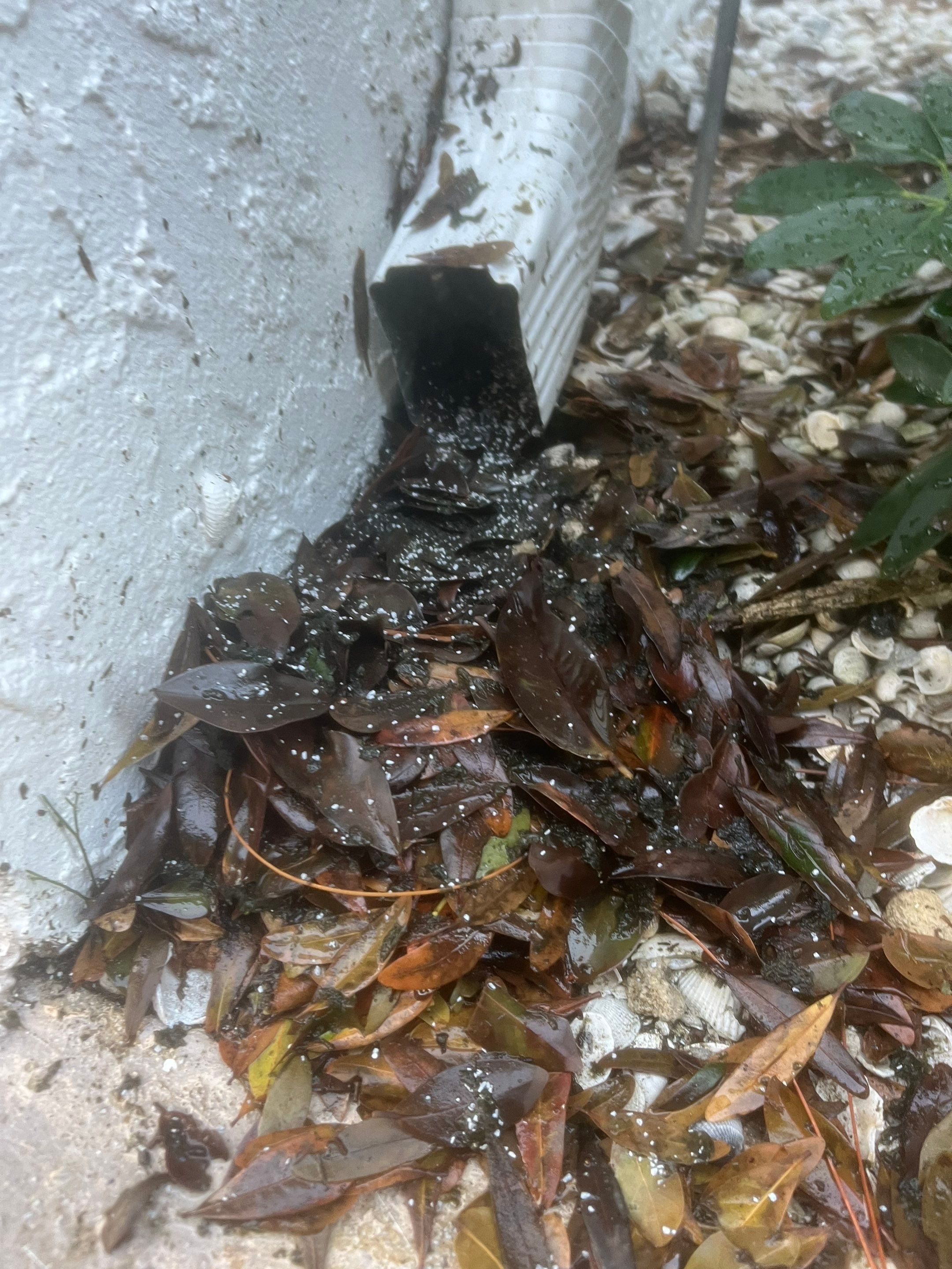 Professional Gutter Cleaning in Fort Myers FL by Gutter Professors