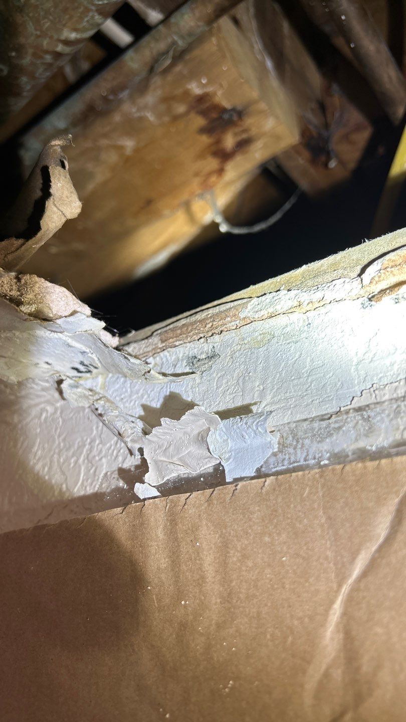 Mold Damage Project in Lakewood by Accountable Home Services