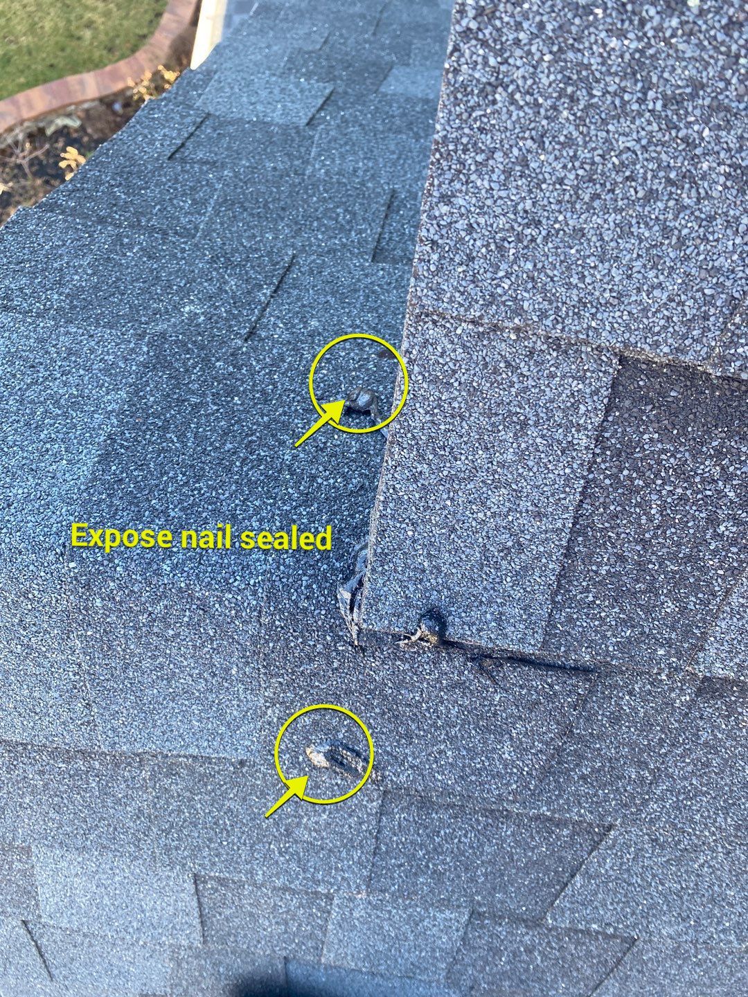 Roof Repair  by Alpha Design Services