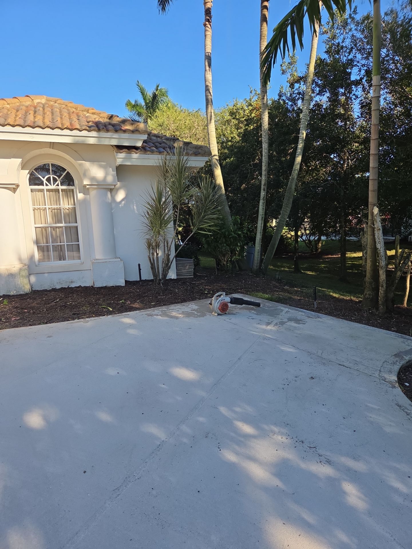 🌴 Landscape Removal and Install in Palm City by Alpha Zeta Enterprises Inc