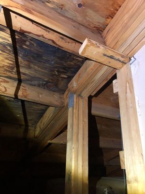 Project in Lone Tree