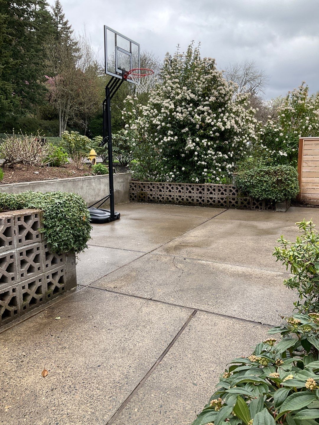 Flat work by Willamette Outdoor Wash LLC