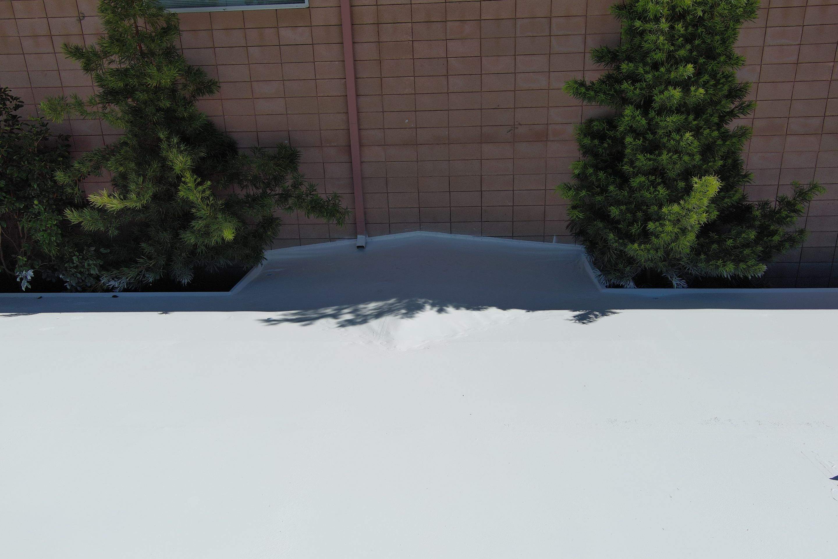 Single-ply restoration system using Benchmark/PUMA XL coatings over TPO single-ply roofing by Straight Edge Roofing Inc