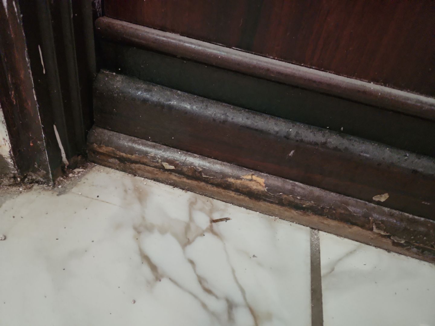 Water Damage Claim in Miami by FLAPA & KeyStone