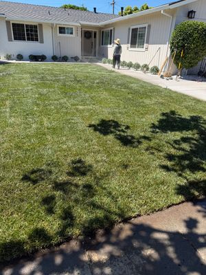 Project in San Jose