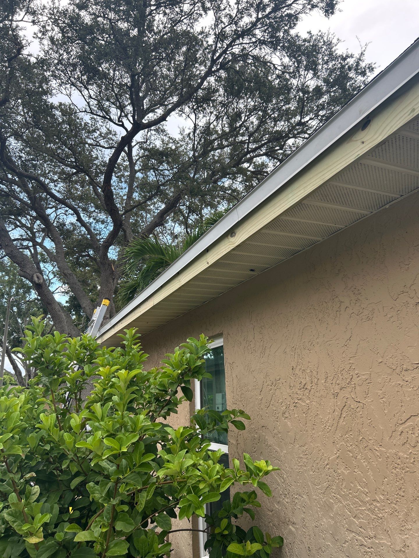 Project in Seminole 33778 by Mitchell Roofing Company LLC