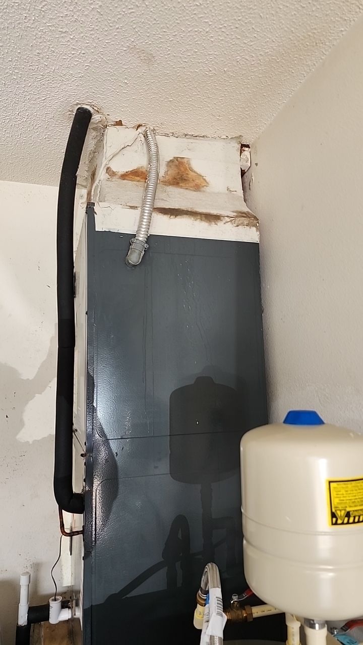 Suspect Mold growth in HVAC System by Building performance Solutions LLC